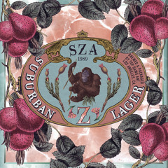 SZA - Warm Winds (feat. Isaiah Rashad)