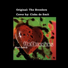 Do you love me now? - The Breeders, Cover by Ciska de Smit