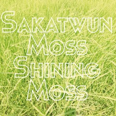 Shining Moss