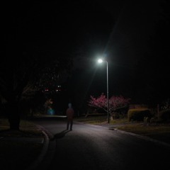 Won't Stick Around - Original