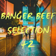 MaximalBeef Selection °42