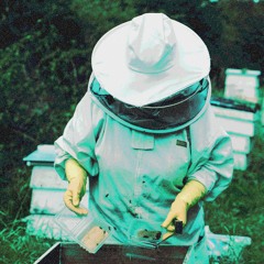 Hivemind 001 -Ayrton Hood