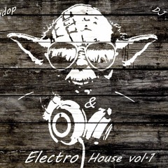 DJ Skidop   & DJ Tommy D  Electro House Vol.1