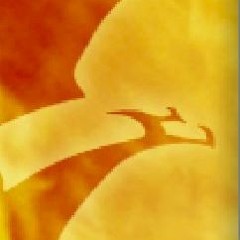 The Raging And the Rapid - Orchestral Version