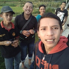 Podang Kuning