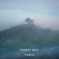 Forest Mist