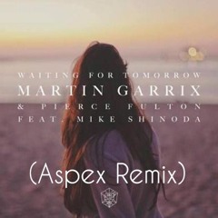 Martin Garrix & Pierce Fulton - Waiting For Tomorrow ( Aspex Remix )