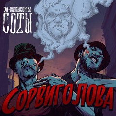 8. СОТЫ DAHONEYCOMBZ - КМОН