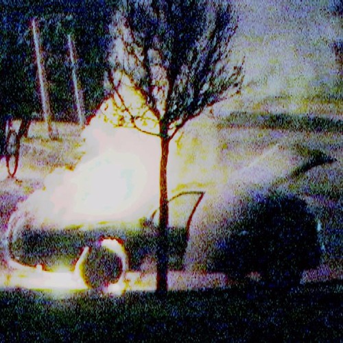 Polilla Vendada - Casi tanto como al vivir aquí
