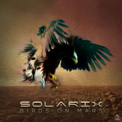 Solarix - Birds On Mars [Dacru Records]