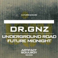 Dr.GNZ - Underground Road(VIM Rec)