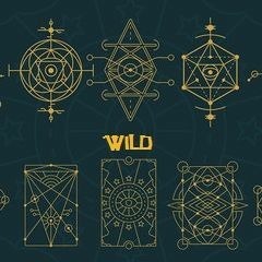 Techno Wild ♥