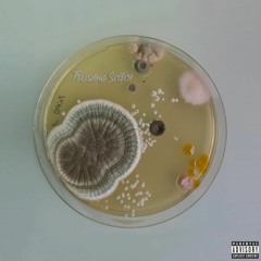 Disease (I Really Think So) Feat. Auxxk VII (Prod. by Boris)
