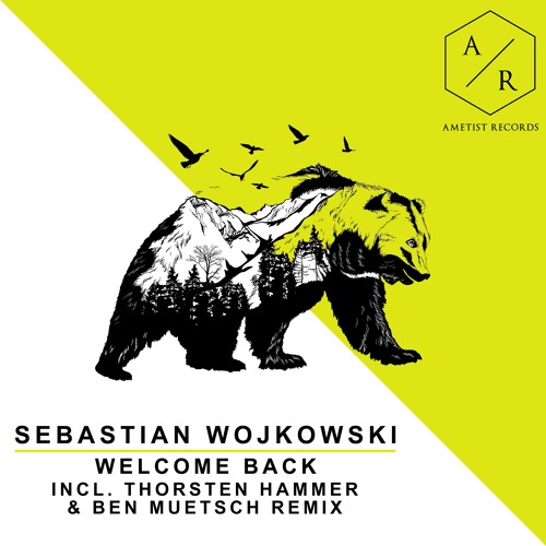 Sebastian Wojkowski - Welcome Back (Thorsten Hammer & Ben Muetsch Remix) / Preview