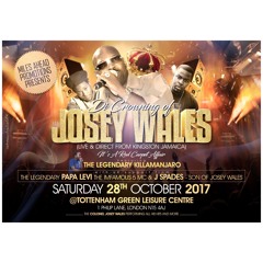 DI CROWNING OF JOSEY WALES  - Sat 28th October @ Tottenham Green Leisure Centre