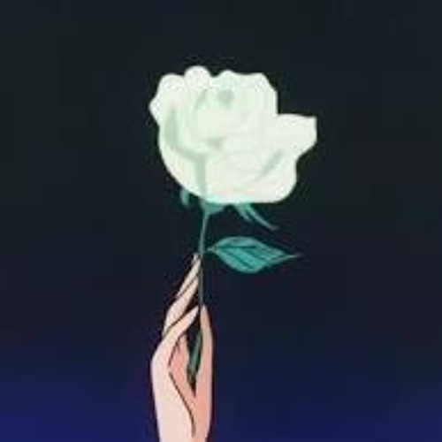 Lofi Storms