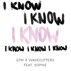 I Know feat. Sophie - WAVECUTTERS x GTM