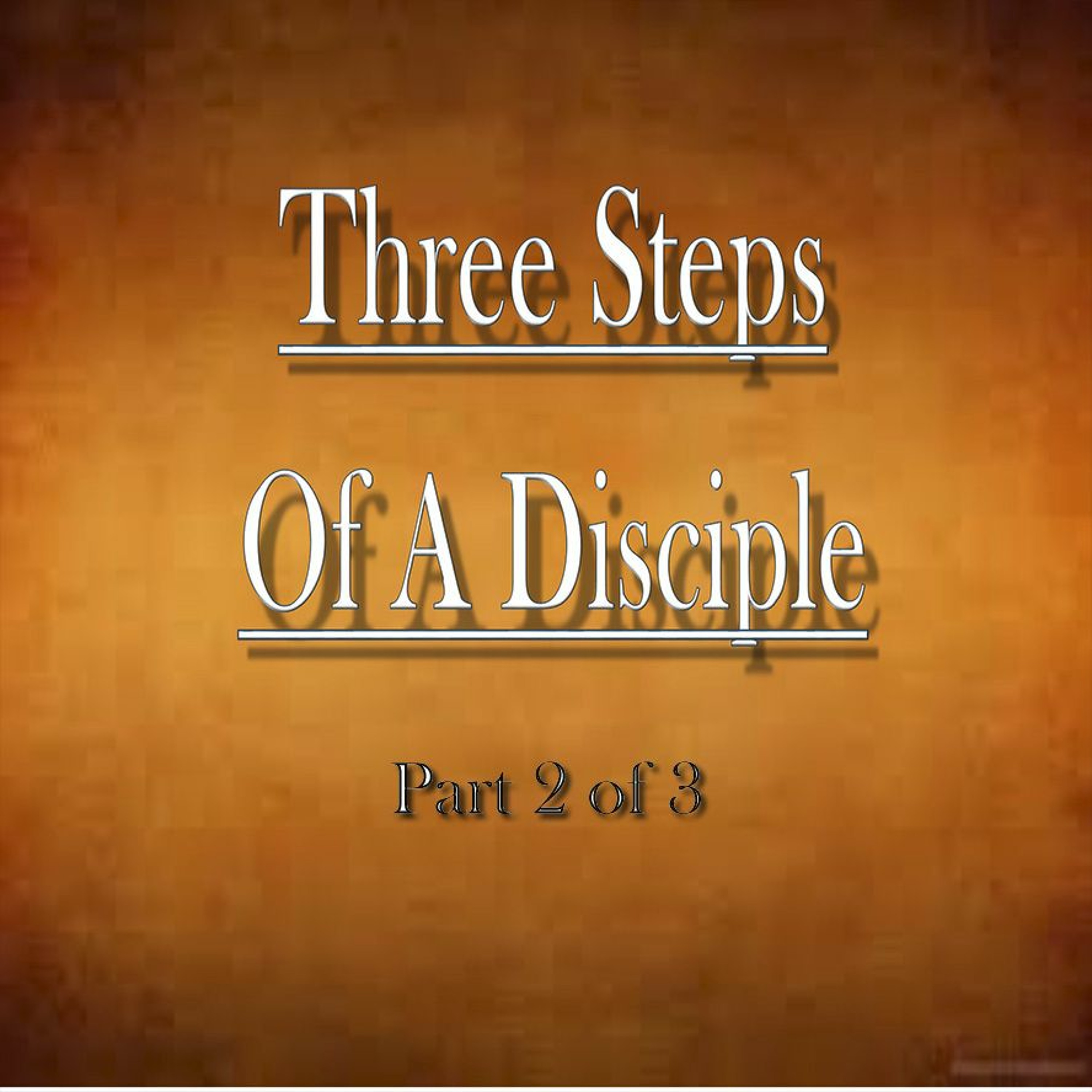 08/02/2017 Rev. Bobby Fallin - 'Three Steps of a Disciple' Part 2 episode artwork