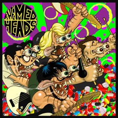 Surfing Wolf - The Med Heads