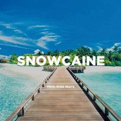 Sitodaplugg X Kari Mulaa X Gmn Zayy - Snow Caine