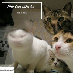 Nhớ Cho Mèo Ăn - CasualBoys đánh đàn
