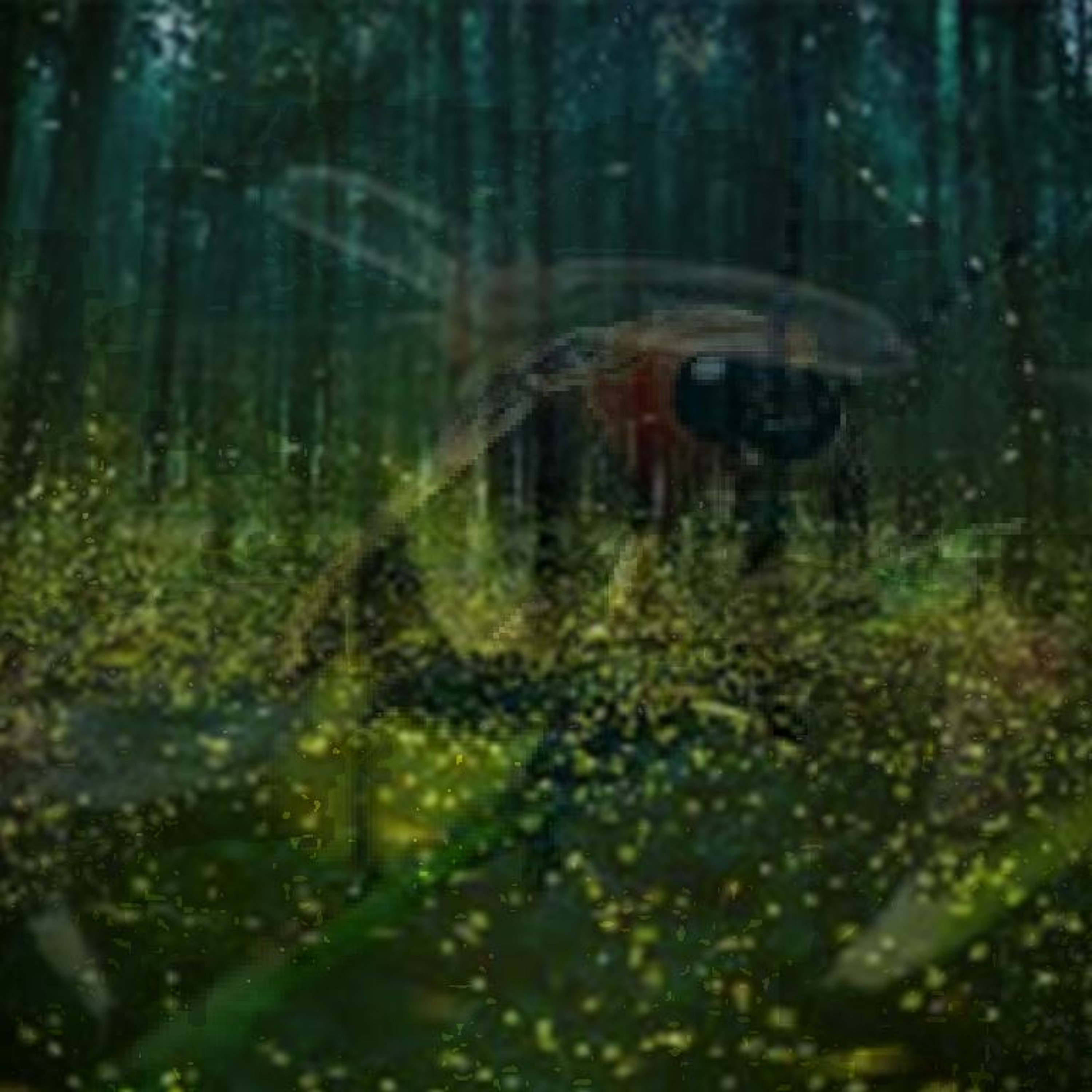 Fireflies episode artwork