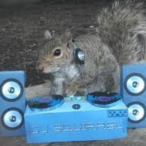Lil Wayne Racks Stream $ Lil Wayne Racks REMAKE DJ EL SQUIRREL $ by Dj El Squirrel ...