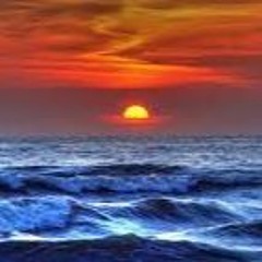 Mc Komplex- T'is Het Leven Dat Ik Leef