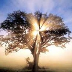 Stairway to heaven-Led Zeppelin(vocal cover)