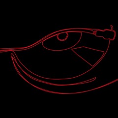 MR G Vs All Eye See - House Music