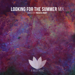 Pacco & Rudy B - Looking 4 The Summer (Continuous Mix) [A Must Have]
