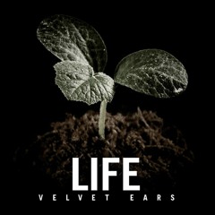 Son - Daniel Alflatt - Velvet Ears Music
