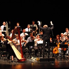 Harp Guitar Double Concerto (2016) Live Recording