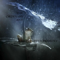 Seraphus - Wonderful moment