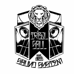 DU3normal ft. I-Mitri - powers and vibes (Tribal Soul Sound dubplate)