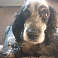 Don't Leave Me On My Own