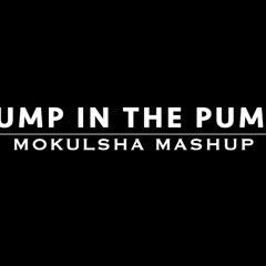 Jump In The Pump (Mokulsha Mash - Up)