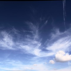 moni´s rache 2016 djset