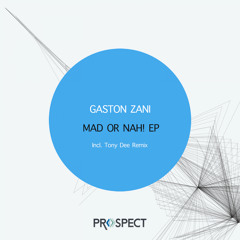 Gaston Zani - Mad Or Nah! (Original Mix)