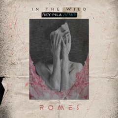 In The Wild (Rey Pila Remix)