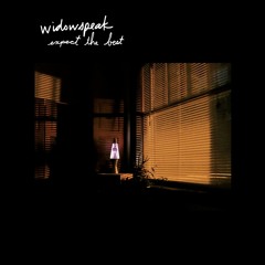 Widowspeak // When I Tried