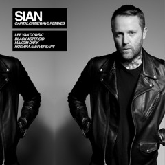 Premiere: Sian 'Camouflage' (Lee Van Dowski Remix)