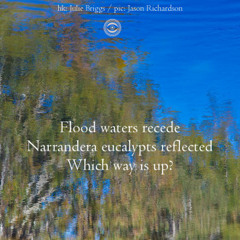 Flood waters recede (Naviarhaiku 187 )