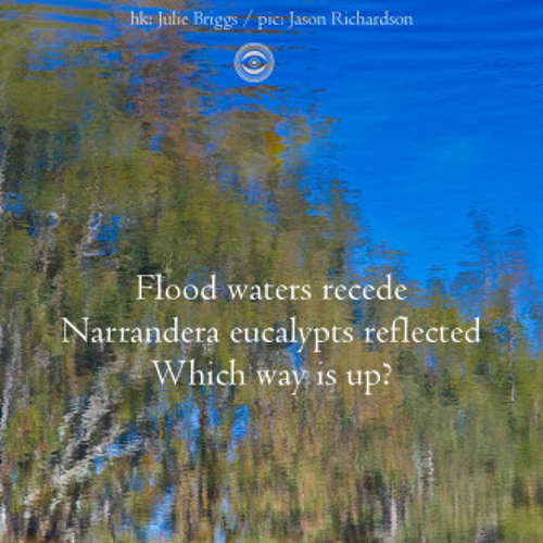 Flood waters recede (Naviarhaiku 187 )