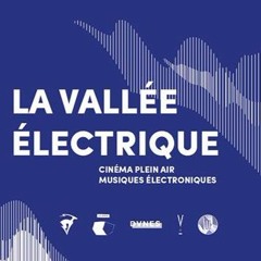Live @ La Vallée Electrique (2/2)