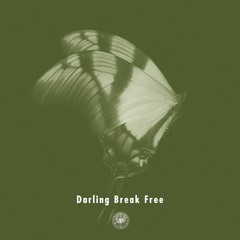 Darling Break Free / AmPm feat.Michael Kaneko