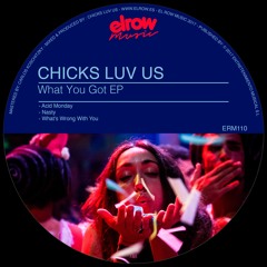 Chicks Luv Us - Acid Monday (Original Mix)