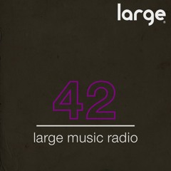 Large Music Radio 42 mixed by Fish Go Deep