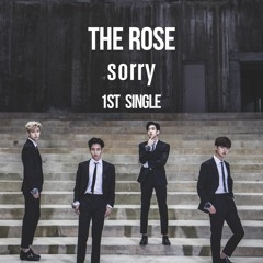The Rose (더 로즈) - Sorry