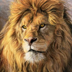 C - Lance - The Lion
